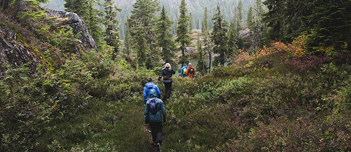Trail Clean-Up